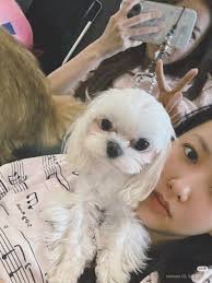 my pretty Xiaoxiao 😍🫶 #ChengXiao XHS snaps update 🥰