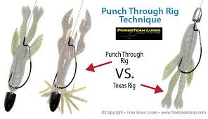 Lance Tyree (lance_tyree)