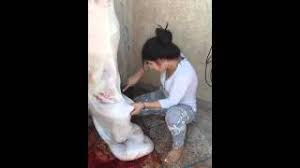 تفسير حلم ذبح البط في المنام للعزباء لابن سيرين. Ù†Ø³Ø§Ø¡ ØªØ°Ø¨Ø­ Ø§Ù„Ø¨Ø· ØªØ­Ù…ÙŠÙ„ Ø§ØºØ§Ù†ÙŠ Ù…Ø¬Ø§Ù†Ø§