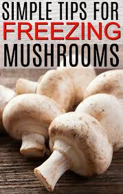 Freezing Mushrooms Stuffed Mushrooms Freezing Mushrooms Frozen Meals