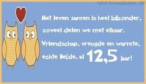Leuke Huwelijksjubileum 12 5 Jaar Tekst Plaatjes
