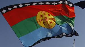 En 1987, antieco, se puso en contacto con las. Video Solitario Hombre Levanto La Bandera Mapuche Frente A Comitiva De Pinera En Nueva Zelanda Cooperativa Cl