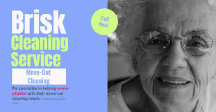 Brisk Cleaning Service