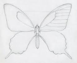 Drawing a top view will use construction lines as well. Inspiration Your Birthday Cake Design Drawing Easy Simple Sketch Pencil Butterfly