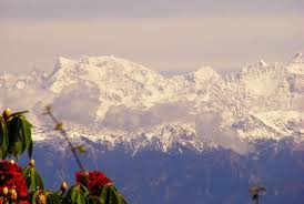 Kanatal camp camp kantal is that the best placed camp in danaulti uttarakhand. Dhanaulti The Paradise In Disguise Alightindia