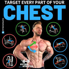 The pectoralis major muscle is a muscle of the pectoral region, overlying the anterior chest wall but is considered an upper limb muscle due to its function. 10 Best Chest Exercises For Building Muscle Gymguider Com Chestworkouts The Chest Or Pectoralis Major Chest Workouts Best Chest Workout Lower Chest Workout