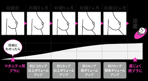 産前のバスト（妊娠3ヵ月） | からだの変化とマタニティのインナー選び | ワコールマタニティ公式ブランドページ
