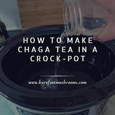 Anyone can learn how to make chaga tea, whether you're at home, or outdoors huddled around a fire! How To Make Chaga Tea In A Crock Pot Barefoot Mushrooms