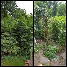 Nebeneinader Statt Ubereinander Wachsende Pflanzen Pflanzenschnitt Straeucher Pflanzenpflege Gartenpflege Ber Wachsenden Pflanzen Pflanzen Gartenpflege