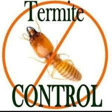 Your pest and termite questions. Residential Home Termite Pest Control Services Id 22465918830
