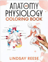 On each people, there are different structures of human body rendered but since they are colorless, you will need to use your artistic skills. Anatomy And Physiology Coloring Book Pdf Free Download Medical Students Corner