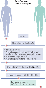 While cancers, like their spirit animal the crab, are known for their thick outer shell, trust that the standoffishness is all an act. Sex Disparities Matter In Cancer Development And Therapy Nature Reviews Cancer