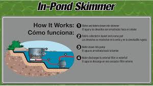 Find small garden pond paradise ideas to furnish your house. Amazon Com Tetra Pond In Pond Skimmer Skims Pond Debris Before It Sinks Black Pet Supplies