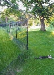 Photo Gallery Outdoor Cat Enclosure Cat Fence Outdoor Pet Enclosure
