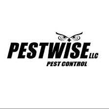 Tired of dealing with your household pests? The 10 Best Termite Companies In Bradenton Fl With Free Estimates