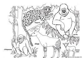 Download animals coloring page for free: African Animal S Free4a45 Coloring Pages Printable