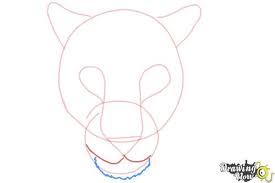 Here are some interesting facts about the cheetah you might find interesting. How To Draw A Cheetah Face Drawingnow