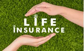 Check spelling or type a new query. Happy National Life Insurance Day California Broker Magazine