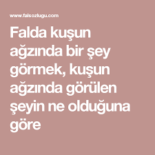 Kahve Falinda Kusun Agzinda Bir Sey Gormek Kahve Fali Kahve