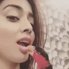 images?q=tbn:ANd9GcRqRhhic7kC45wBWXv_D9I