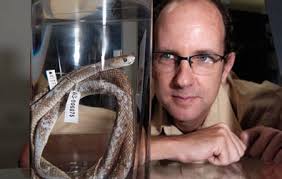 the western australian museum