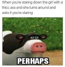 Back At The Barnyard Memes Are Popping Up More And More Start Buying Asap Memeeconomy