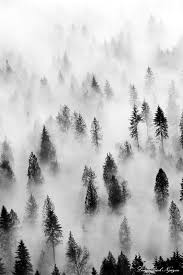 Black And White Landscape Photography Nature Pin By Daniel Wellington On Black White Black And White Photographs White Photography Nature Photography