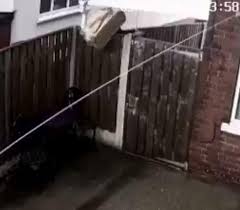 If you're going to send flowers anywhere in london, i highly recommend this place, for their speed, punctuality and elegance. Shocking Moment Yodel Delivery Driver Flings Bouquet Of Marks And Spencer Flowers Over A Garden Fence