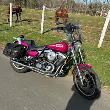 Image result for Dark Wineberry 1993 FLSTF