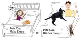 Should Cats Or Dogs Sleep In Bed With You We Ask Vet Professionals What They Do