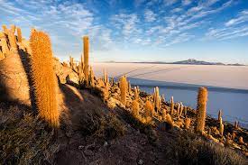 We are 2 people and by the time we pay for this trips to the tour company it would be cheaper to rent a car. Atacama Desert Altiplano Urs Zihlmann