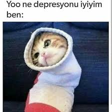 Irem Adli Kullanicinin Kedi Replikleri 3 Panosundaki Pin Komik Seyler Komik Komik Resimler