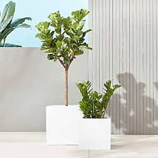 Iota is a leading uk supplier of garden planters and large modern pots for the garden, with a wide range of stock including large planters ideal for the home, garden, balcony and patio. Unique Outdoor Planters Cb2 Canada