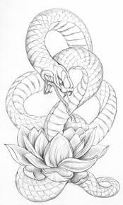 21 Realistic Snake Tattoo Drawing Ideas Petpress Choose your favorite snake drawings from millions of available designs. 21 realistic snake tattoo drawing ideas