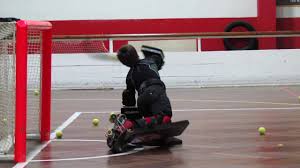 Marlene sousa (3), maria sofia silva (3), macarena ramos (2), catarina pedro (2), beatriz figueiredo. Hoquei Patins 2019 2020 Escola De Guarda Redes Youtube