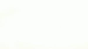 Luxury japanese moire fish texture pattern wallpaper background. White Backgrounds Wallpapers Hd Wallpaper Cave