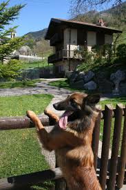 Maybe you would like to learn more about one of these? Ferienhaus Giulia Mit Eingezaunten Garten Am Ledrosee
