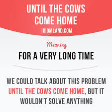 Until The Cows Come Home Means For A Very Long Time Example We Could Talk About This Problem Until The Cows English Idioms English Phrases Learn English