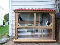 Our Diy Catio Diy Cat Enclosure Cat Enclosure Outdoor Cat Enclosure