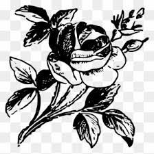 Gambar bunga mawar hitam cantik gambar wallpaper bunga mawar hitam cantik pasti banyak yang bertanya tanya dong tentang keberadaan mawar bisnis bikin caption beromzet puluhan juta hitam putih 140219 part 2 duration. Black And White Rose Bunga Mawar Animasi Hitam Putih Free Transparent Png Clipart Images Download