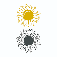 Download Pin On Flowers And Nature