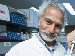 U of S bat study may explain how bats carry coronaviruses