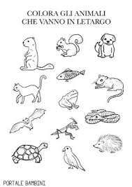 Definizione Di Letargo Elenco Degli Animali Che Vanno In Letargo Schede Didattiche Sul Letargo Per I Bambini Scienza Per Bambini Regole Della Classe Animali