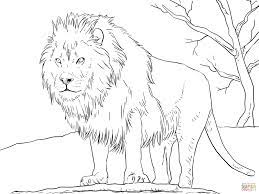 Leon Para Colorear E Imprimir Loca Tel