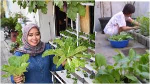 Berkebun di rumah juga merupakan alternatif bagi kamu yang tidak. Tren Berkebun Di Tengah Pandemi Mudah Menyenangkan Hasilnya Pun Bisa Dikonsumsi Sendiri