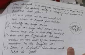 Check spelling or type a new query. Erosie Is A Diagram Cent Division Study It O Hepresenting A Sloge During Carefully And Answer The Gior Aleryske A The Cent Al Question That Follow At Is A Plant Cell Or