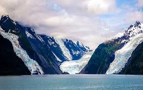 Millions of trees were uprooted and swept away by the wave. Ice Melt In Alaska Threatens To Unleash Unprecedented Mega Tsunami Scientists Warn Bizsiziz