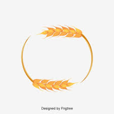 Beautiful Wheat Border Frame Vector Wheat Wheat Png Transparent Clipart Image And Psd File For Free Download Wheat Vector Wheat Design Vector Border