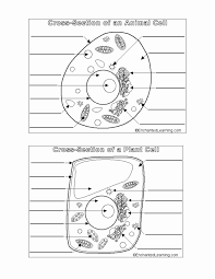 50 Animal And Plant Cells Worksheet Chessmuseum Template Library Cells Worksheet Animal Cells Worksheet Plant Cells Worksheet
