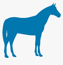 Horses, giraffes, zebra, lions, tigers & more canvas prints. Silhouette Clip Art Farm Animal Silhouette Horse Teal Hd Png Download Kindpng